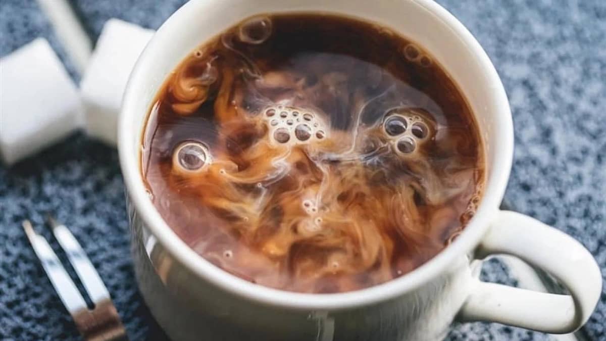 WhatsApp Image 2025-10-31 at 12.01.51 PM.jpeg