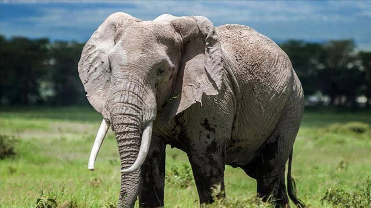 WhatsApp Image 2025-11-03 at 1.42.18 PM.jpeg