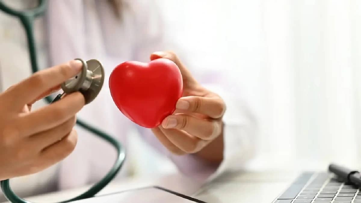 WhatsApp Image 2025-11-03 at 8.01.47 PM.jpeg