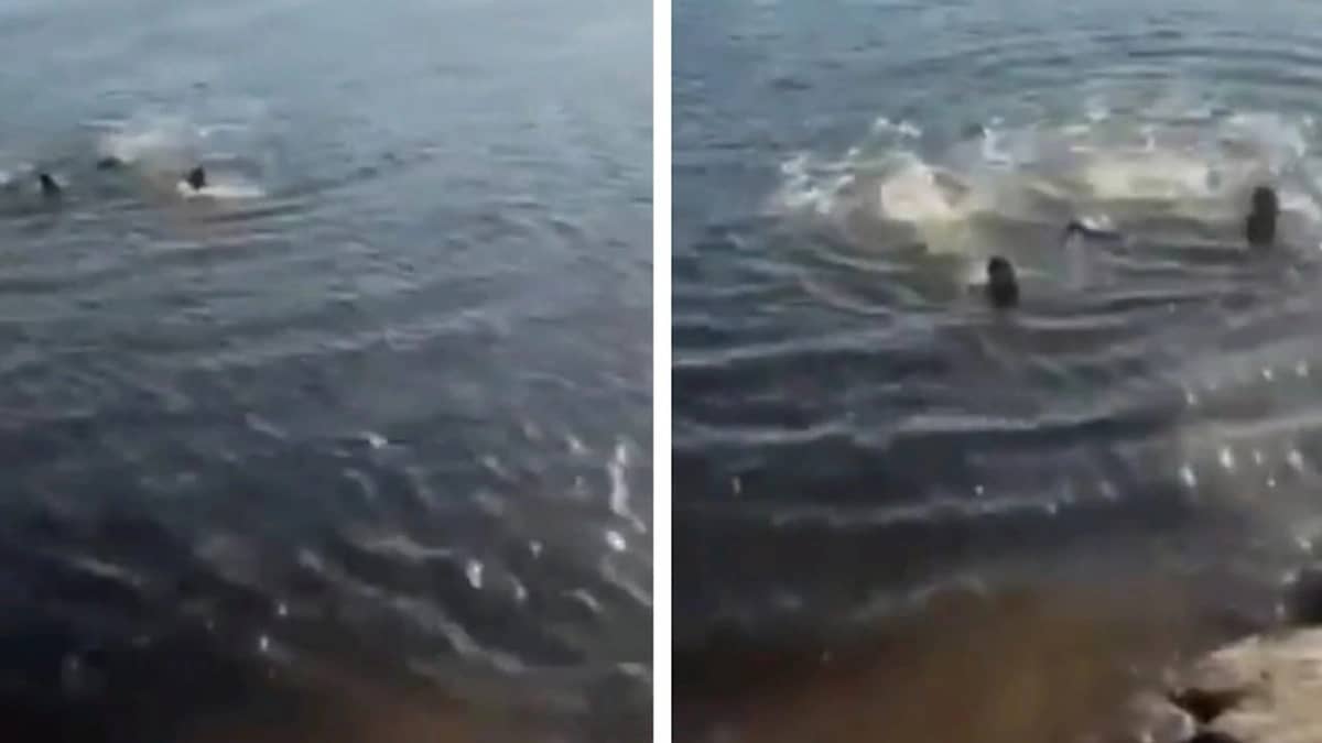 WhatsApp Image 2025-11-03 at 8.23.21 PM.jpeg