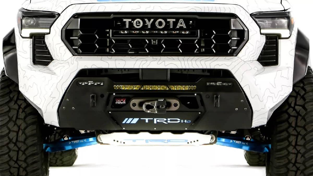 WhatsApp Image 2025-11-04 at 6.55.12 PM.jpeg