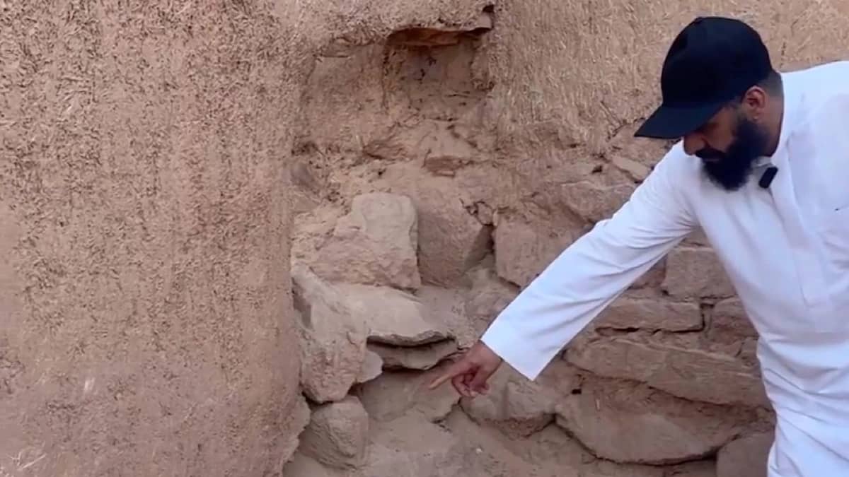 متطوع بسكاكا ينجح في القضاء على 500 عش دبابير ..فيديو