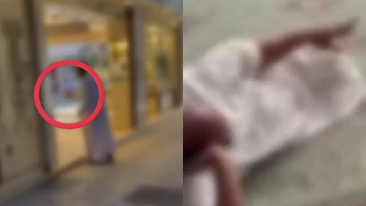 WhatsApp Image 2025-11-07 at 1.48.52 AM.jpeg