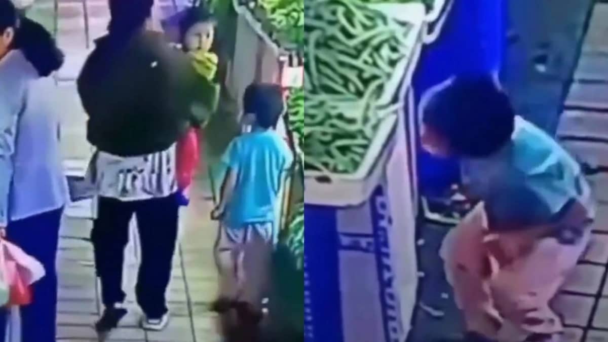 WhatsApp Image 2025-11-07 at 10.42.18 PM.jpeg