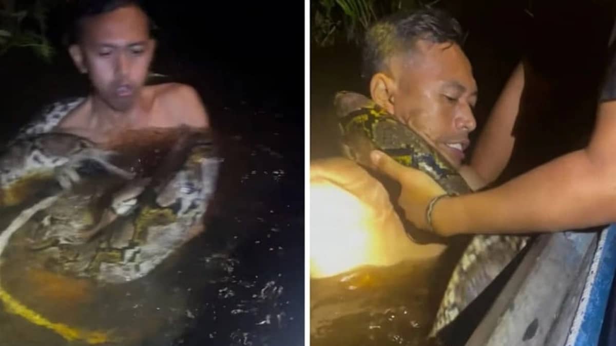 WhatsApp Image 2025-11-07 at 8.23.03 PM.jpeg