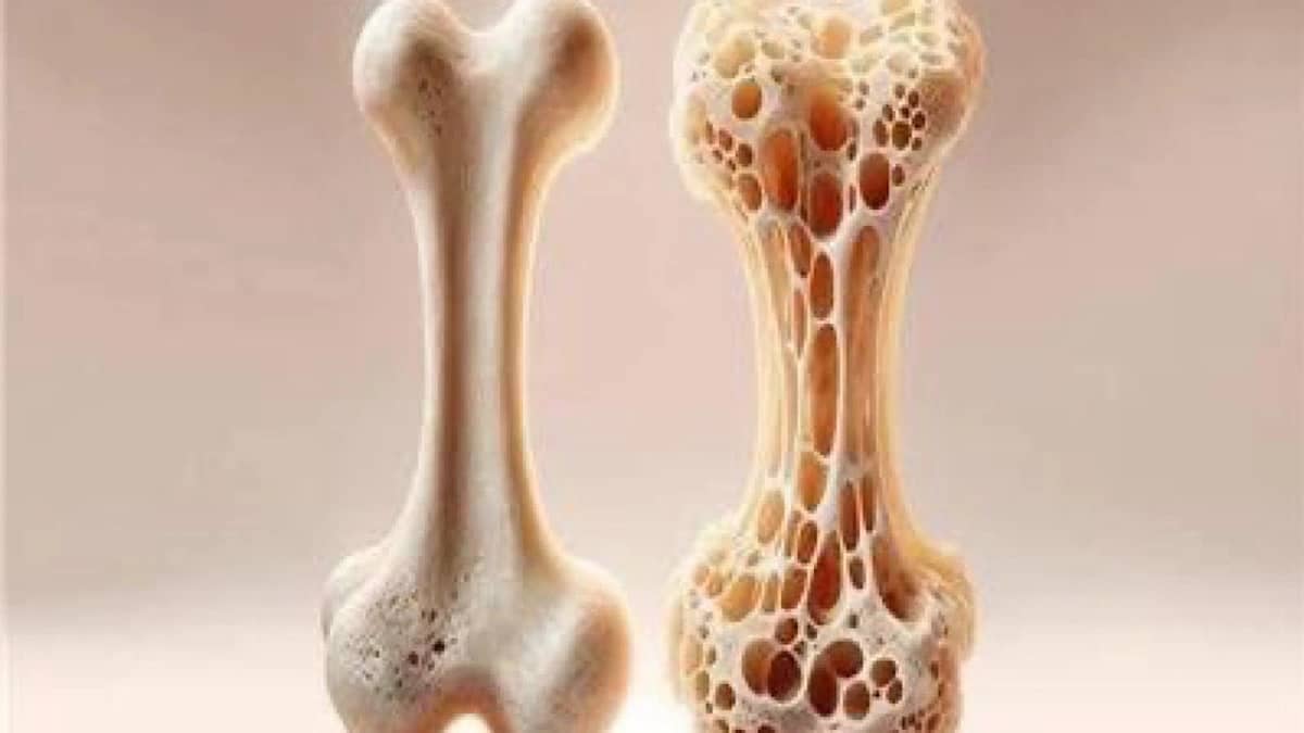 WhatsApp Image 2025-11-11 at 1.26.59 PM.jpeg