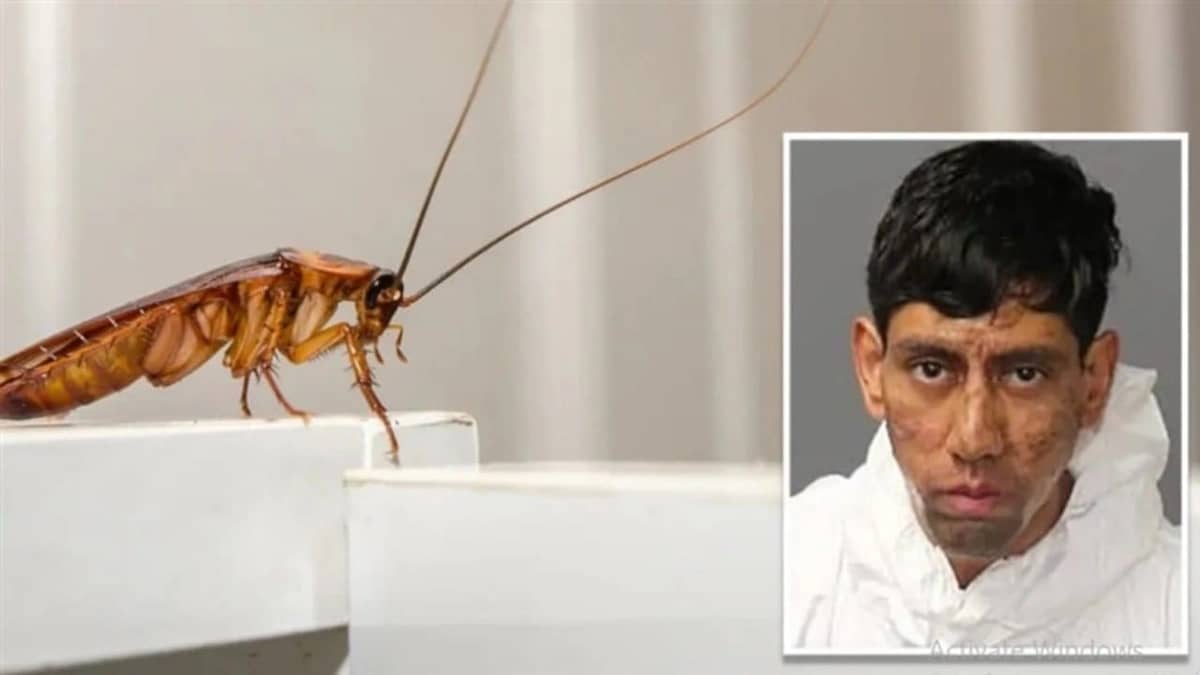 شاب يقتل شخصين بسبب رسالة مشفرة من صرصور