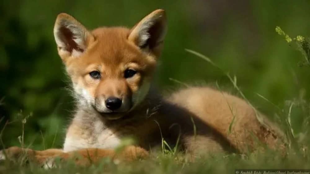 WhatsApp Image 2025-11-20 at 12.40.50 PM.jpeg