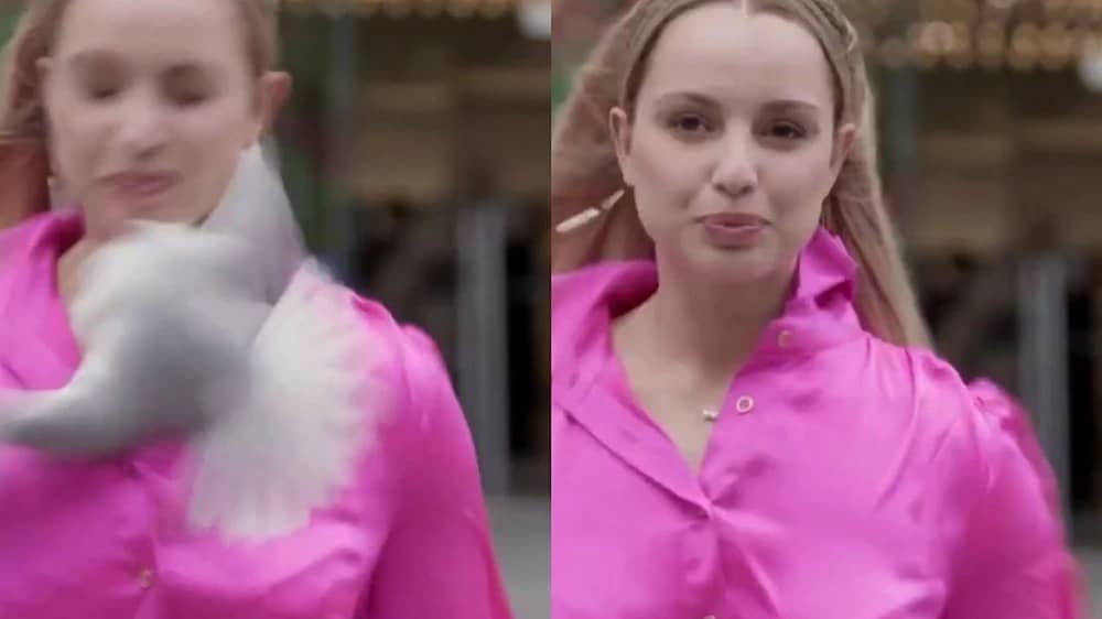 WhatsApp Image 2025-12-03 at 2.09.05 PM.jpeg