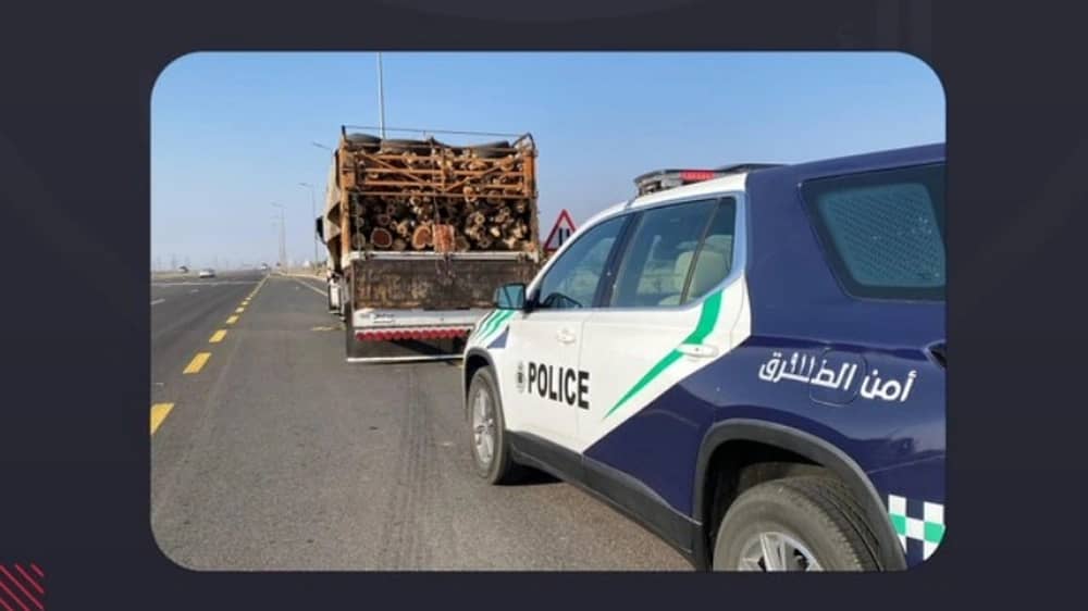 WhatsApp Image 2025-12-12 at 4.56.00 PM (1).jpeg