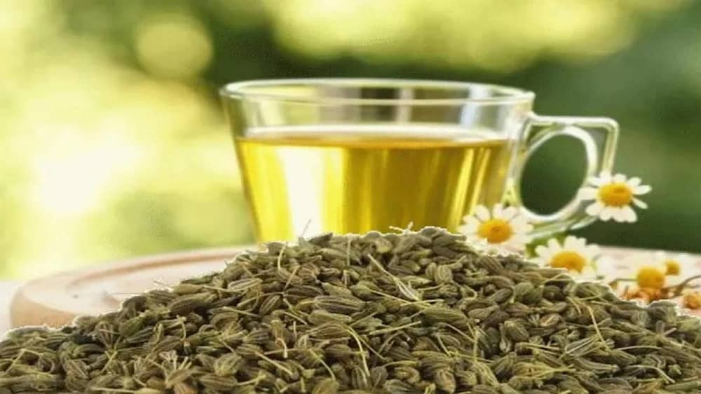 WhatsApp Image 2025-12-15 at 6.48.35 PM.jpeg