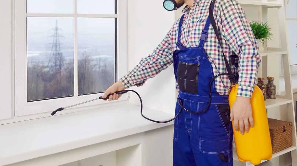 WhatsApp Image 2025-12-17 at 6.53.52 PM.jpeg