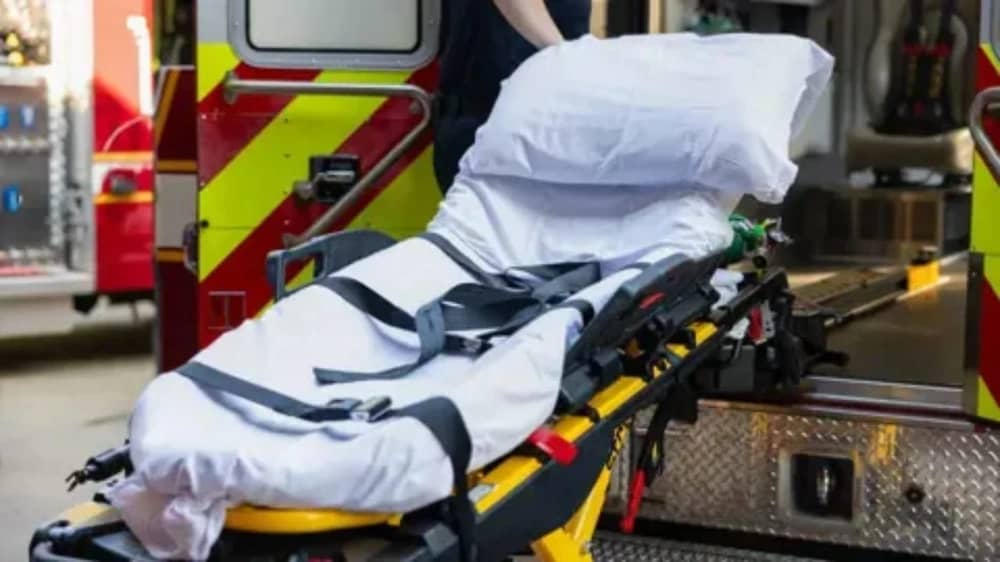 WhatsApp Image 2026-01-07 at 2.20.10 PM.jpeg