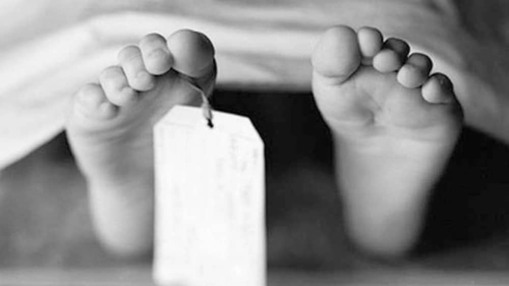 WhatsApp Image 2026-01-14 at 5.51.26 PM.jpeg