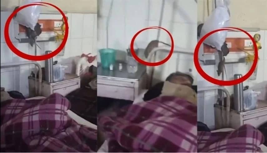 WhatsApp Image 2026-01-14 at 8.40.09 PM.jpeg