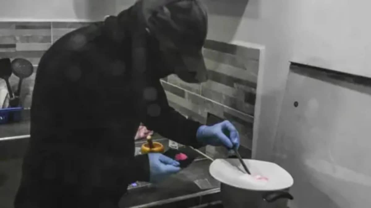 WhatsApp Image 2026-01-24 at 11.31.44 AM.jpeg