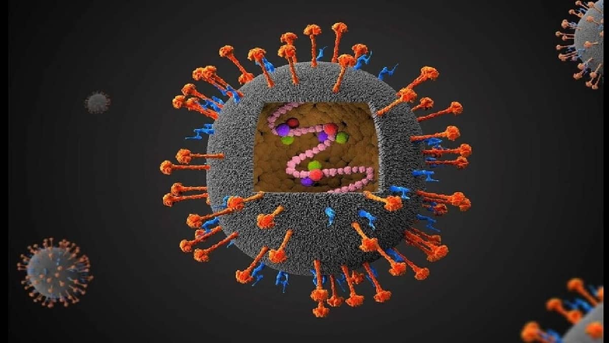 الهند تواجه تفشي فيروس نيباه وتسجل 5 إصابات