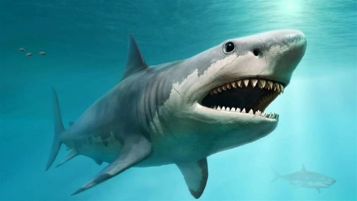 WhatsApp Image 2026-01-24 at 8.45.13 AM.jpeg