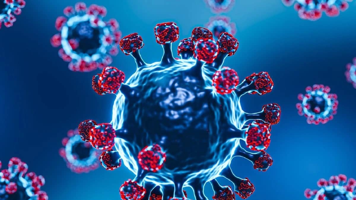 فيروس نيباه يثير القلق عالميًا مع تسجيل إصابات جديدة