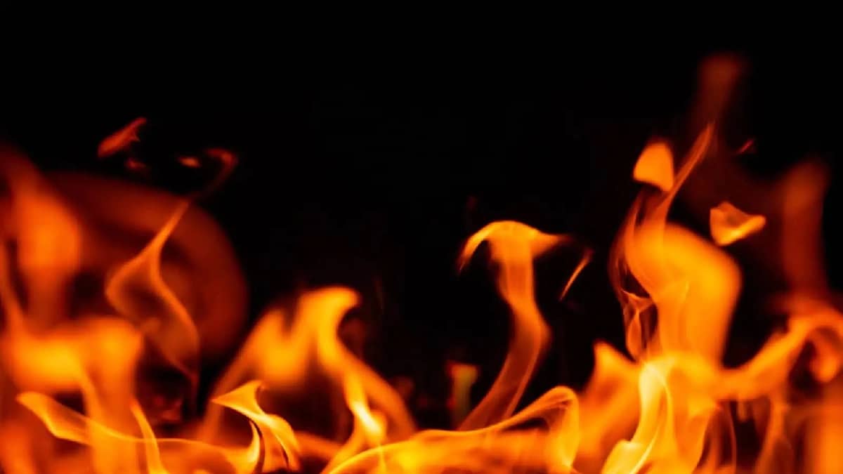 WhatsApp Image 2026-01-27 at 6.05.03 PM.jpeg