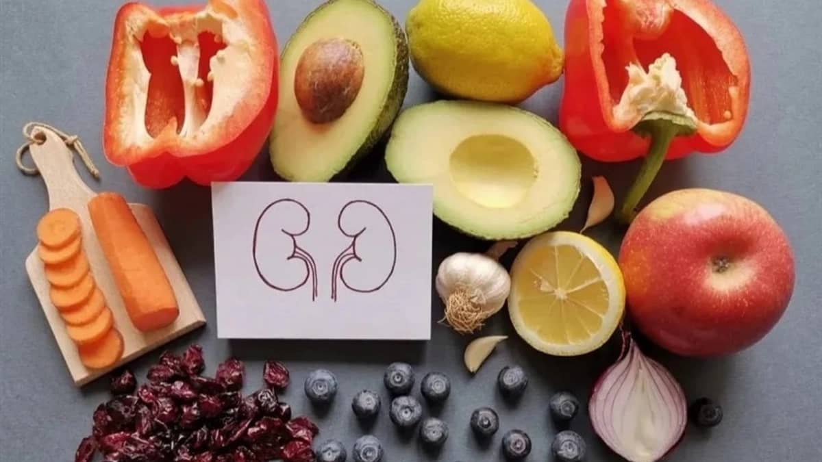 WhatsApp Image 2026-01-28 at 11.03.39 AM.jpeg