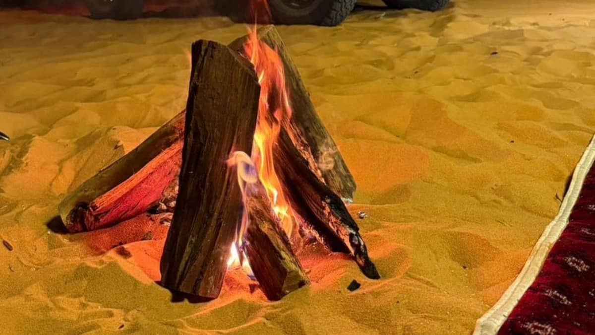 WhatsApp Image 2026-01-31 at 12.11.52 PM.jpeg