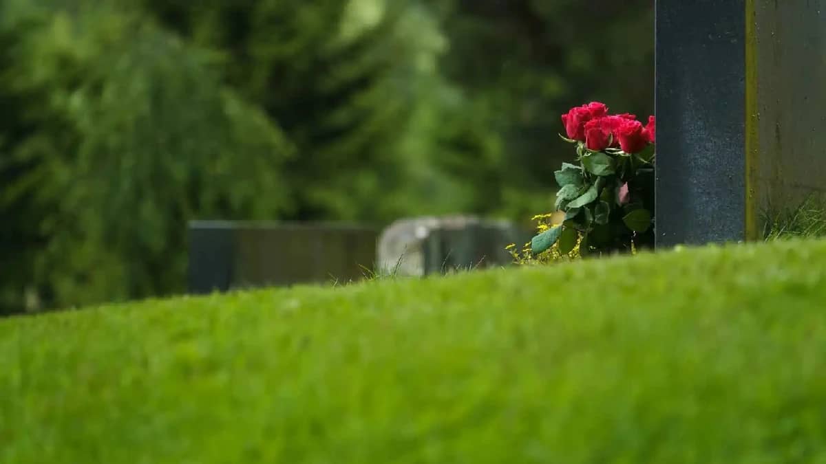 قاتل يثير الجدل في تركيا بعد شراء ورد لقبر ضحيته.. فيديو