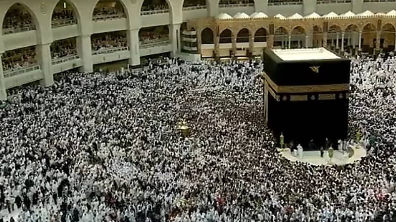 مشهد يخطف الأنظار والقلوب لأفواج المعتمرين وسط تنظيم متقن لخدمتهم