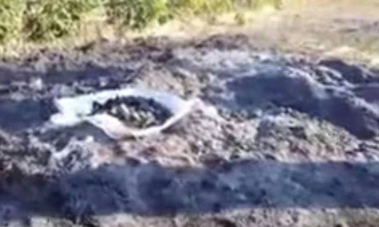 فيديو يوثق حرق جيش بورما لمسلمي الروهنجيا