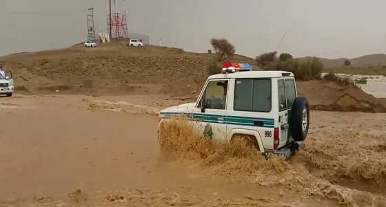 فيديو يحبس الأنفاس لسيول الرين