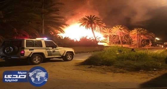 إحالة ثلاثة أحرقوا مزارع نخيل دومة الجندل إلي النيابة