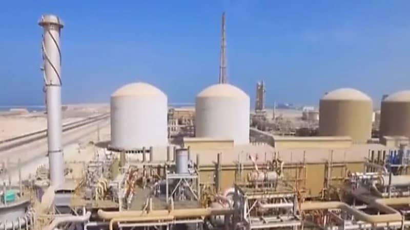 شاهد.. حجم الاستثمارات التي جذبتها مدينة "رأس الخير" الصناعية