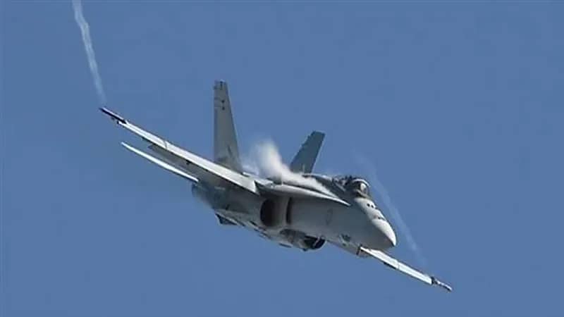 هبوط اضطراري لمقاتلة أمريكية بسبب طائر صغير