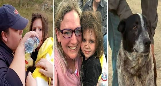 بالصور.. كلب شجاع يحمي طفلة لمدة 15 ساعة في الغابة