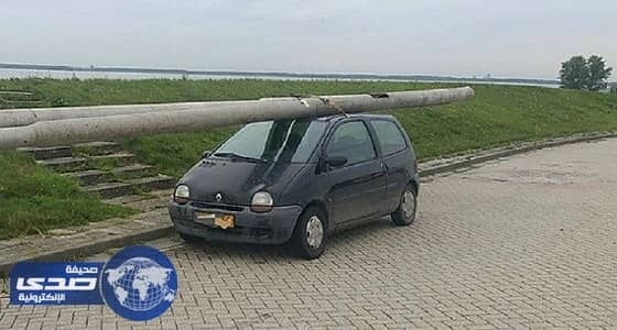 يسرق أعمدة إنارة الشوارع وينقلها بسيارته