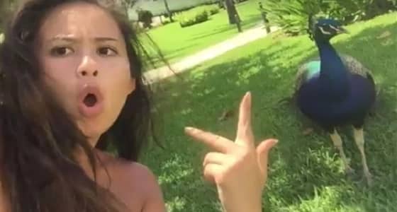 بالفيديو.. هجوم طيور على اشخاص حاولوا تصويرها