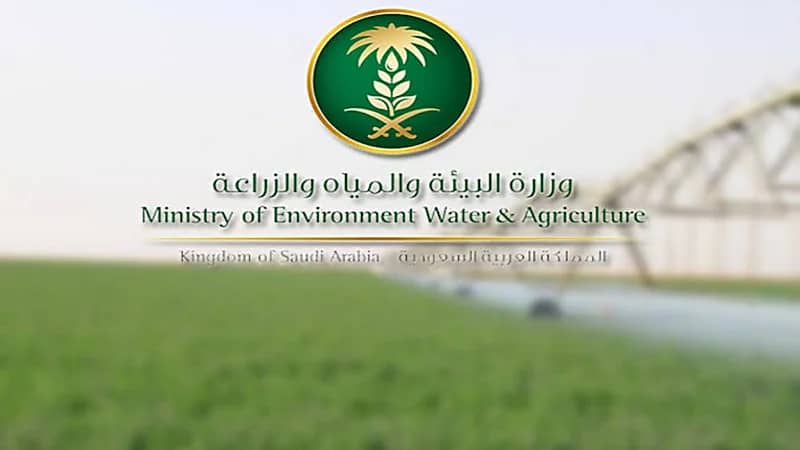 البيئة توضح ممارسات تضر بالحياة على كوكب الأرض