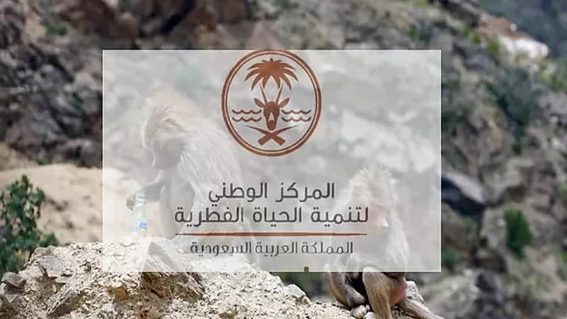الحياة الفطرية: نشاط الصيد يخضع للأنظمة والقوانين الوطنية