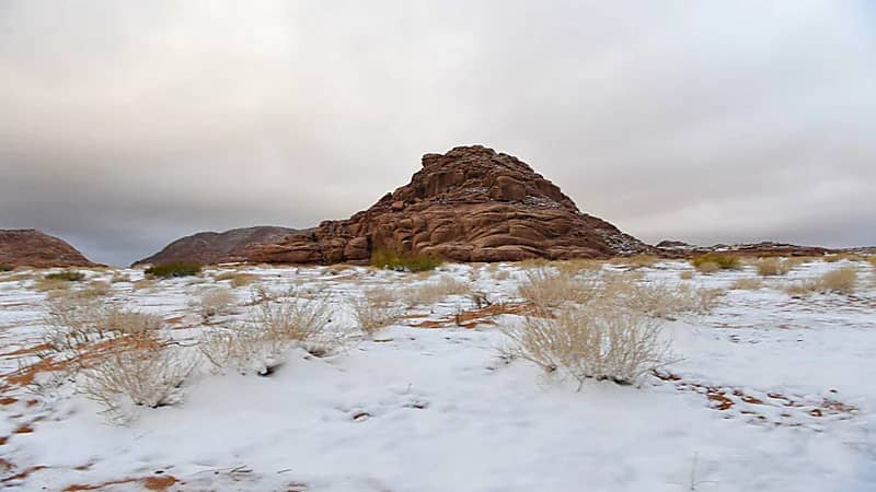 شاهد.. لحظة تساقط الثلوج على مرتفعات تبوك