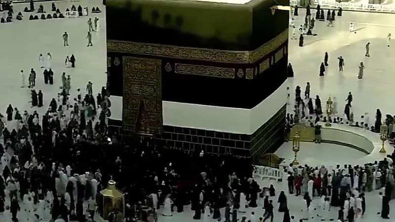 نساء مكة يملأن صحن الطواف بعد مغادرة الحجاج .. فيديو