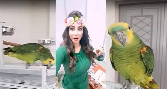شاهد.. رد فعل ببغاء لجين عمران عند عودتها من السفر