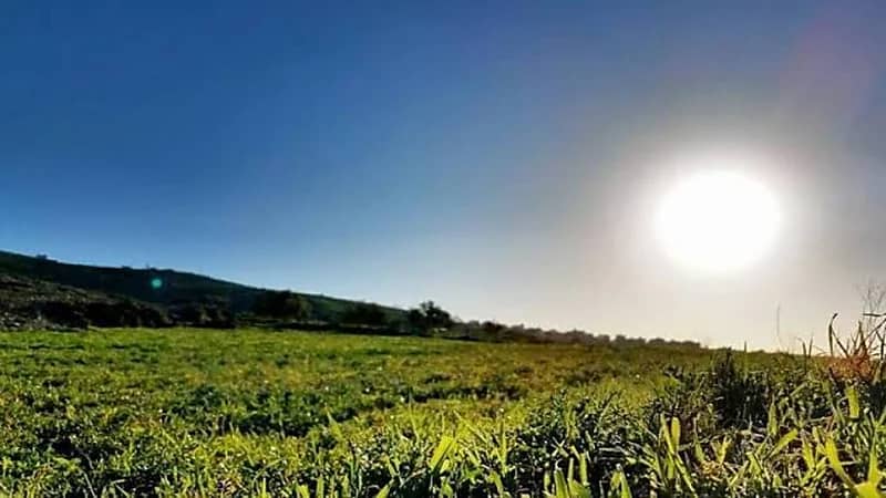 "فلكية جدة" تعلن انتهاء فصل الشتاء فلكيًا اليوم