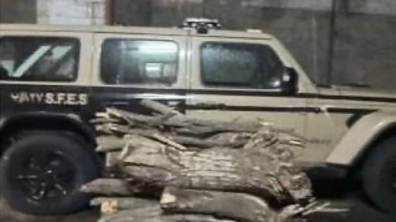 ضبط مواطنًا لاستخدامه حطبًا محليًا في أنشطة تجارية بعسير