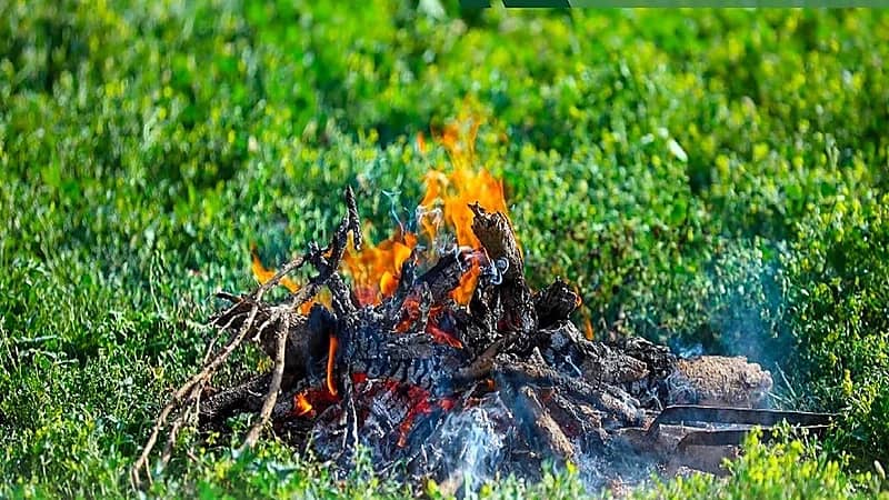 ضبط مواطنًا مخالفًا لنظام البيئة في محمية الأمير محمد بن سلمان الملكية