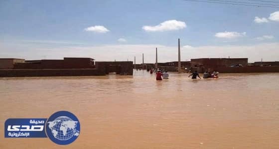 " فيضان سامّ " يقتل نباتات وحيوانات إسرائيلية