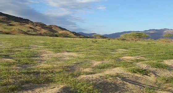 بالفيديو.. " ناسا " توثق الغطاء النباتي في جبال المدينة المنورة