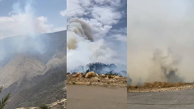 بالفيديو.. إخماد 85% من حريق غابات شمال النماص