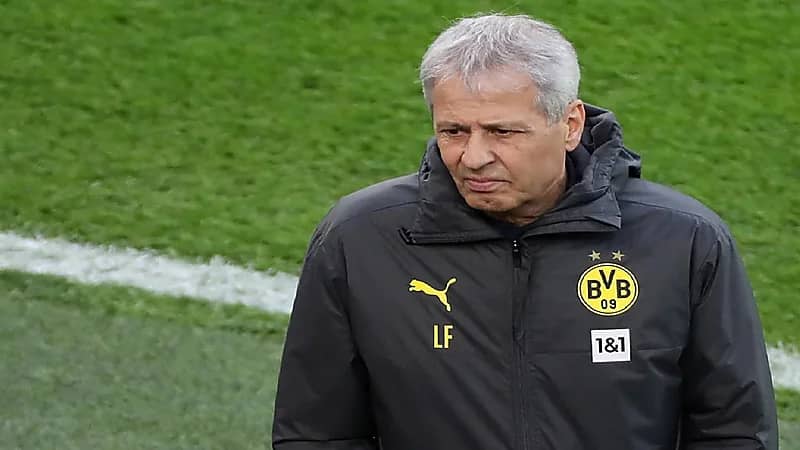 فافر يقترب من تدريب الهلال