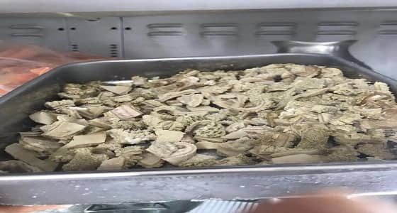 بالصور .. أمانة المدينة تضبط 39 كيلو أغذية فاسدة بالبيداء