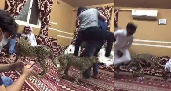 بالفيديو.. شاب يطلق " فهد " على أصدقائه وأحدهم يفزع خوفا